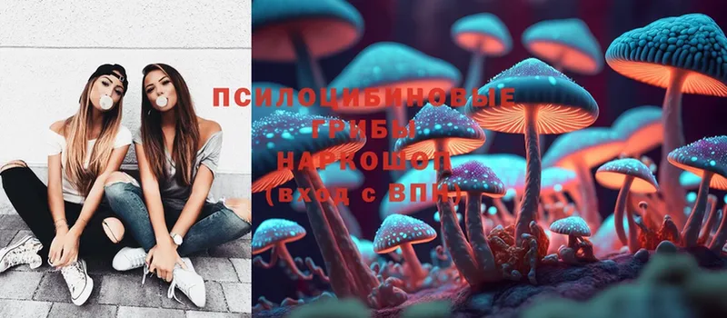 Галлюциногенные грибы Magic Shrooms  как найти наркотики  мега tor  Урюпинск 